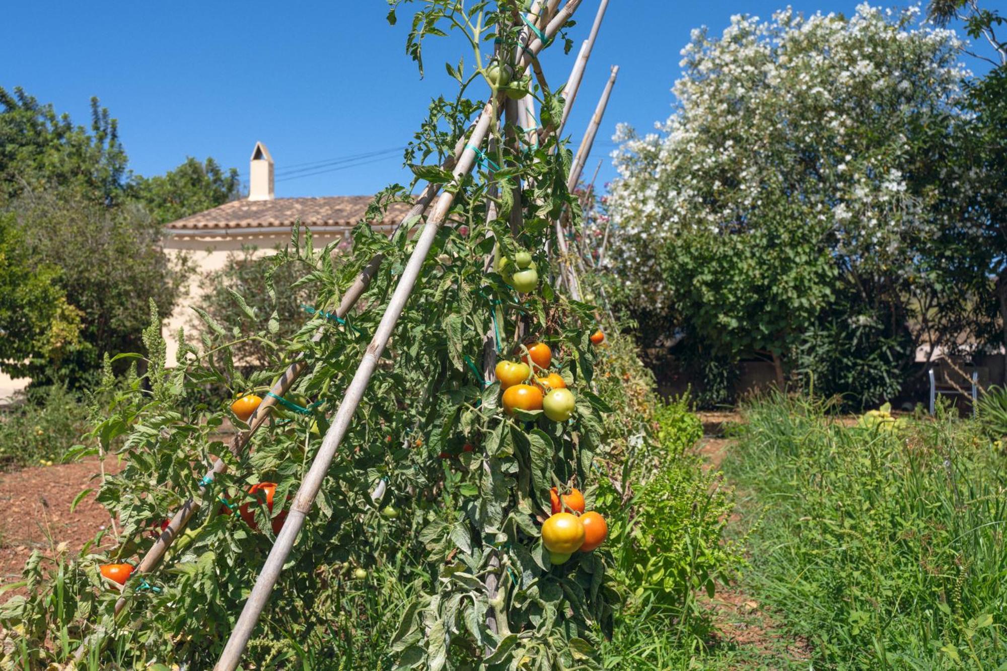 קפדפרה Finca Es Baladre מראה חיצוני תמונה